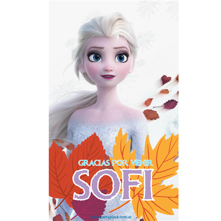 Stickers rect. gdes. Frozen 16u Pers